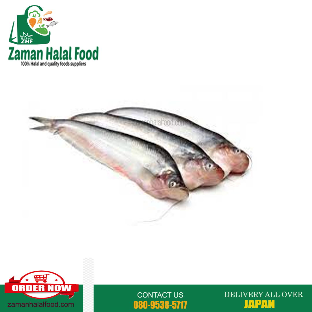 Pabda Fish - 500gm