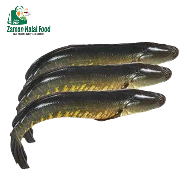 Fresh Taki Fish 500g
