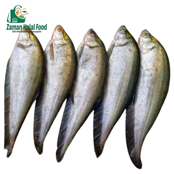 Fresh foli fish 1kg
