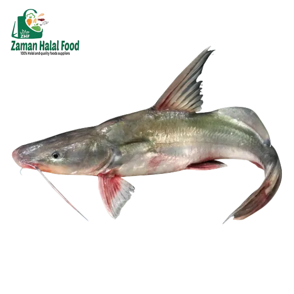 Fresh Whole Ayre fish big size Cut (River) 3.5kg (±100g)