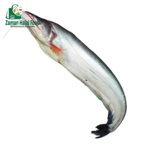 Fresh Boal Fish Big size Cut 3.4kg - 3.6kg