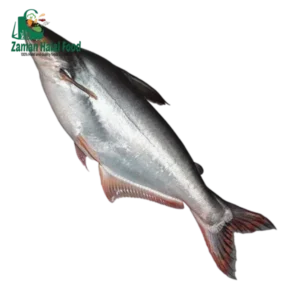 Fresh ⁠Pangash whole Cut 2.3kg (±150g)