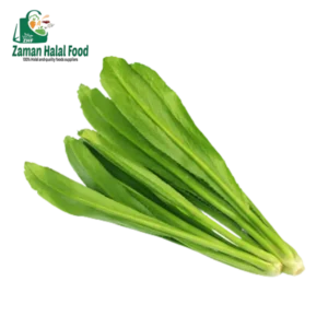 Fresh Bilati Dhonia / နံနံရှည် (1kg)